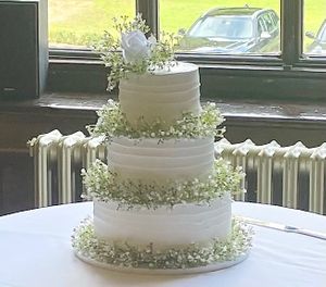  at The Iced Vegan Wedding Cake in Mundford