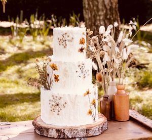  at The Iced Vegan Wedding Cake in Mundford