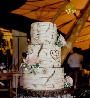  at The Iced Vegan Wedding Cake in Mundford