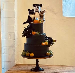  at The Iced Vegan Wedding Cake in Mundford