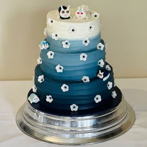  at The Iced Vegan Wedding Cake in Mundford