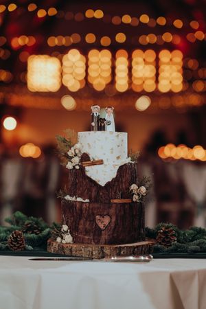  at The Iced Vegan Wedding Cake in Mundford