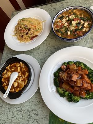 This was too much.. 😳  at Yuanqi Vegetarian - 缘启妙膳 in Urumqi