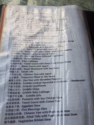 English menu at Yuanqi Vegetarian - 缘启妙膳 in Urumqi