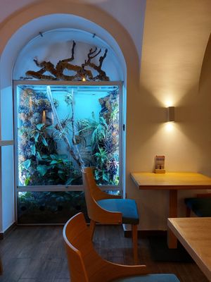 Interior of the place at Oaza Joyful Kitchen in Zagreb