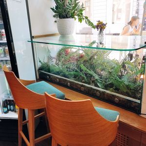  at Oaza Joyful Kitchen in Zagreb