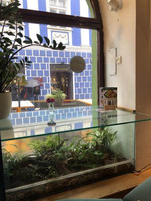 view  at Oaza Joyful Kitchen in Zagreb