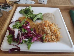 Broccoli, some sauce, protein patties, salad, and quinoa at Oaza Joyful Kitchen in Zagreb