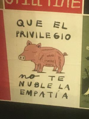 perspectiva at La Revolucion in Veracruz