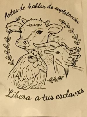 perspectiva at La Revolucion in Veracruz