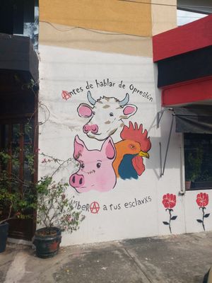  at La Revolucion in Veracruz