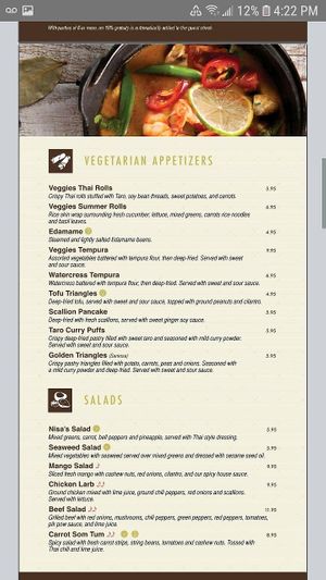 Apps at Nisa's Thai in Canton