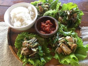 Laab  at Two Little Birds in Luang Prabang