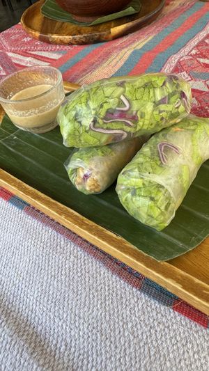Rice paper fresh rolls  at Two Little Birds in Luang Prabang