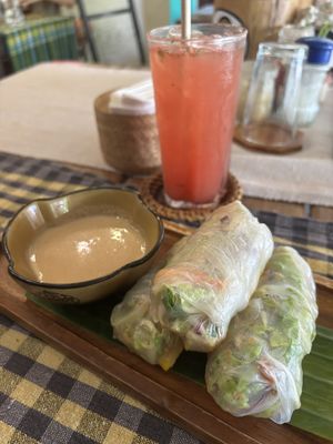 Rice paper rolls  at Two Little Birds in Luang Prabang