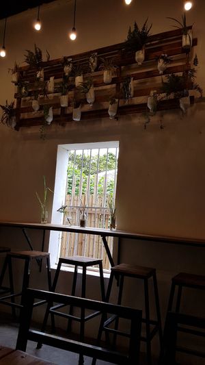 Cafe life at Two Little Birds in Luang Prabang