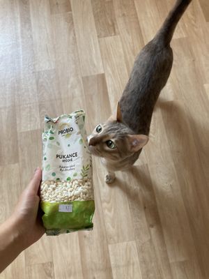 Pukance at Vitalka in Klatovy