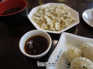 Dumplings - huge portion! at TiānLóng Bǎo Yán in Xian