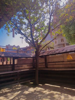  at Daxingshan Temple Vegetarian in Xian