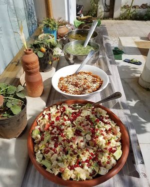 Our community Lunch Spread! at AhimsaGram in Jaipur