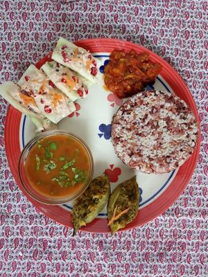 Our plates on a nice warm day.  at AhimsaGram in Jaipur