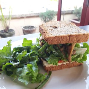 Vegan cheese sandwich at Annamaya in Lalitpur