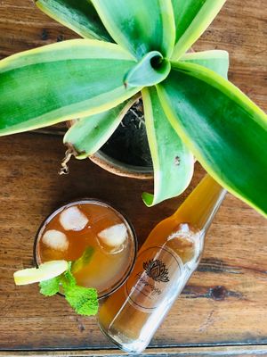Kombucha at Annamaya in Lalitpur