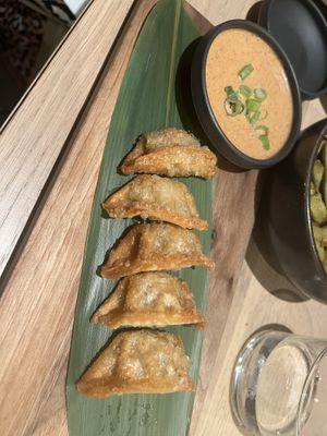 Gyoza  at Bloom Sushi in Montreal