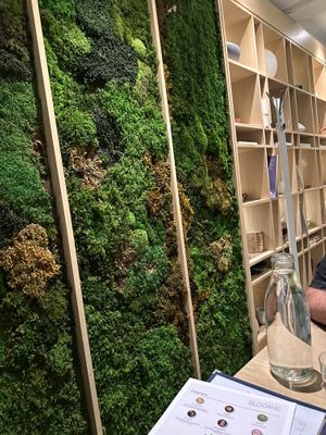   at Bloom Sushi in Montreal