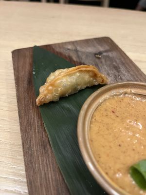 Gyozas part of the platter   at Bloom Sushi in Montreal