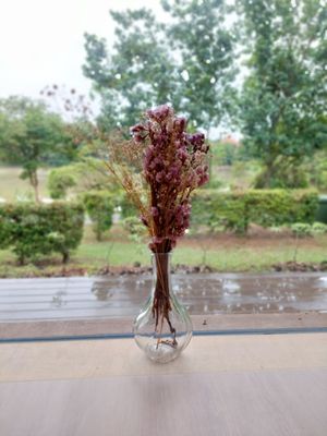  at Real Food 真食 - Yishun in North Singapore