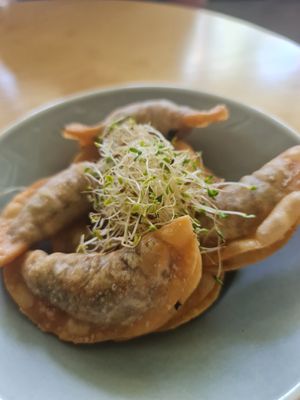 Fried Dumplings ~ 5/8/23 at Real Food 真食 - Yishun in North Singapore