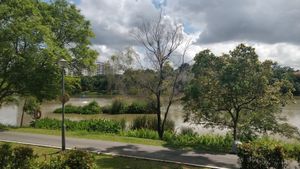 Scenic view from the Café at Real Food 真食 - Yishun in North Singapore