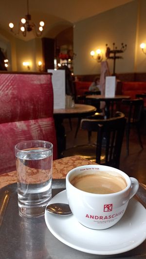  at Café Eiles in Vienna