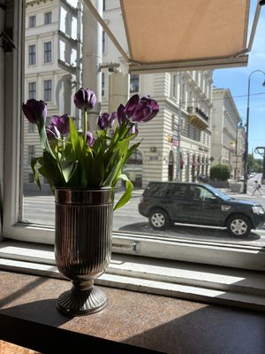   at Café Eiles in Vienna