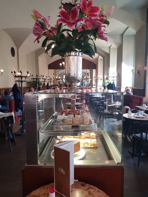 Some cakes are veggie. One vegan option at Café Eiles in Vienna