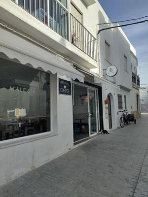 Extra points for feeding stray cats 🥹 at Malcafe in Conil De La Frontera