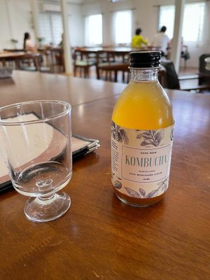 Mango Passion Fruit Kombucha
KB2
RM 14. 00
 at Seed in Ipoh
