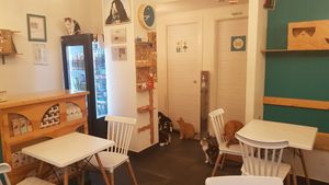  at Gatto Bistrot in Portici