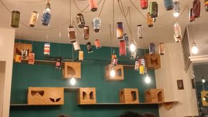  at Gatto Bistrot in Portici