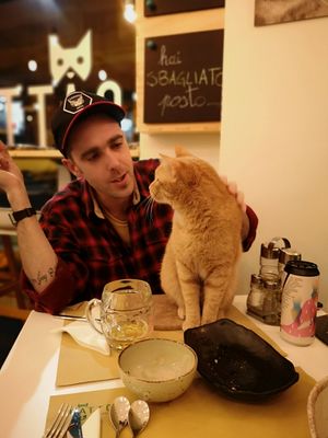 Oh, so that's what you've been doing today? at Gatto Bistrot in Portici