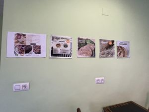  #Veganuary at MacroVital in Alcoi