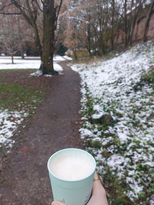 red panda pumpkin spice chai latte (special winter drink) at Café Wertvoll in Marburg