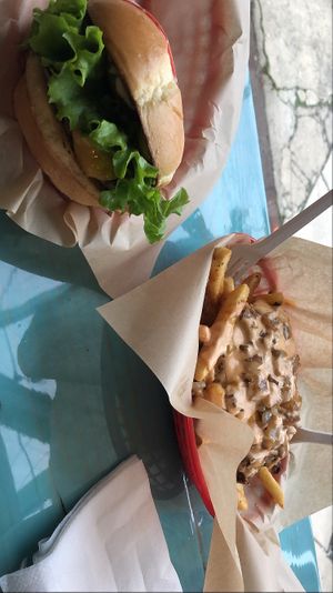 Impossible burger with Animal Style Fries  at Shahar Cafe in Louisville