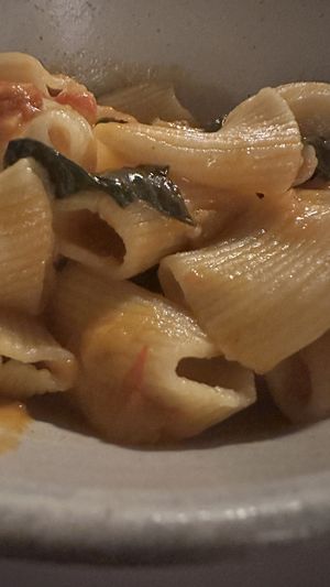   at Somebody People in Denver