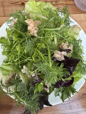 Bib lettuce without radish  at Somebody People in Denver