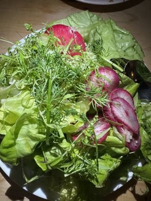 Bib lettuce salad  at Somebody People in Denver