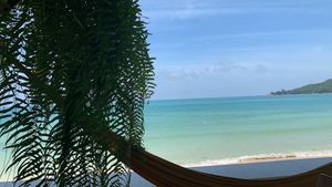 The view is to die for and so peaceful  at Foods & Roots in Koh Phangan