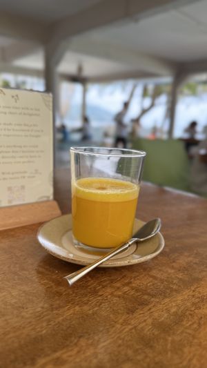 Virus fighter  at Foods & Roots in Koh Phangan