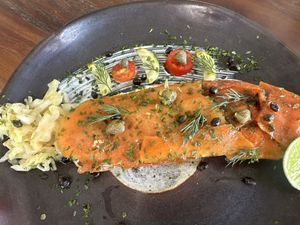   at Foods & Roots in Koh Phangan